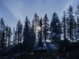 Runner‑Up Glory 🏆