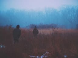 The Spark Ignites 🔥