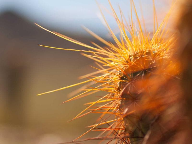 YESummit Nashik 🌟